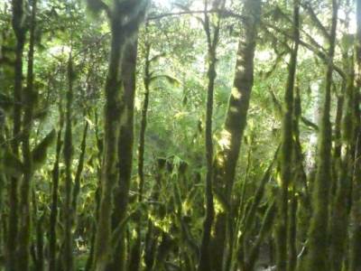 Valle del Tena - Pirineos Atlánticos; cueva del reguerillo tetas de viana viana de jadraque viajes p